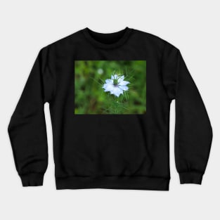 Love-in-a-Mist flower with dew drops Crewneck Sweatshirt